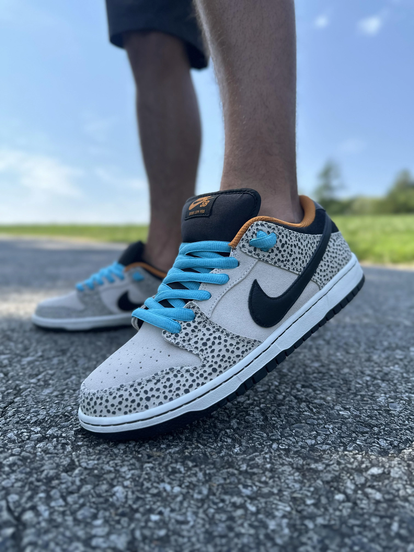 Nike Dunk Low Pro SB 'Electric Pack'
