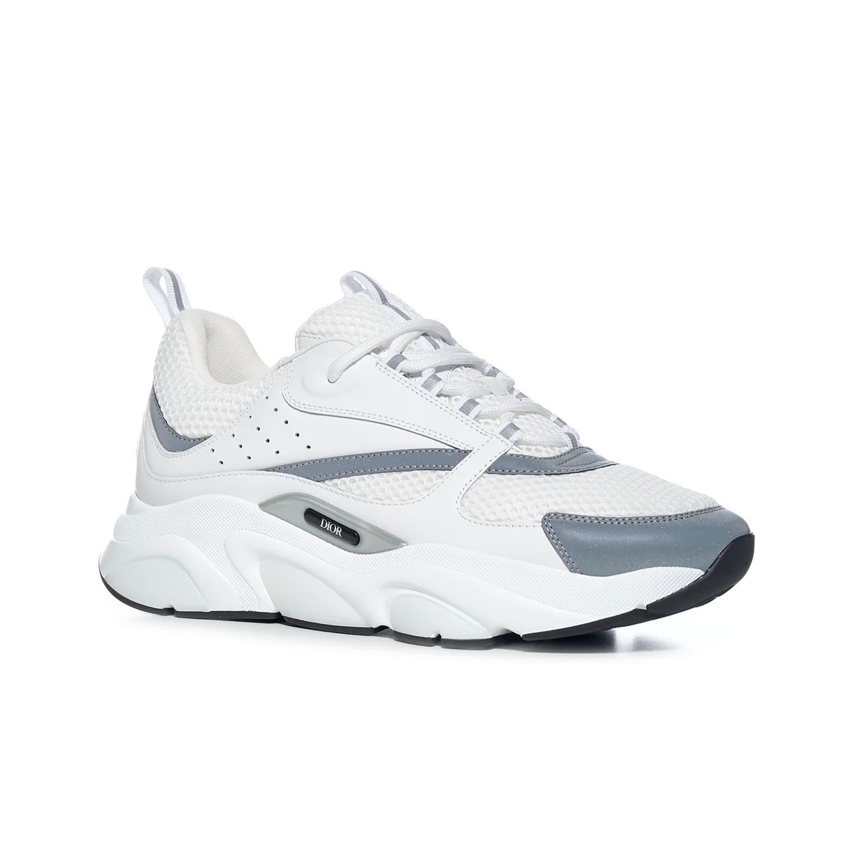 Dior B22 White-grey
