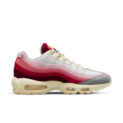 Air Max 95 Anatomy of Air