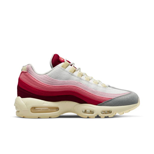 Air Max 95 Anatomy of Air