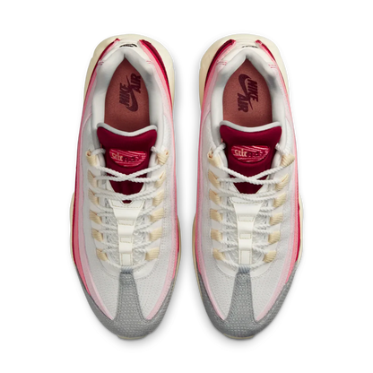 Air Max 95 Anatomy of Air