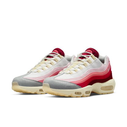 Air Max 95 Anatomy of Air