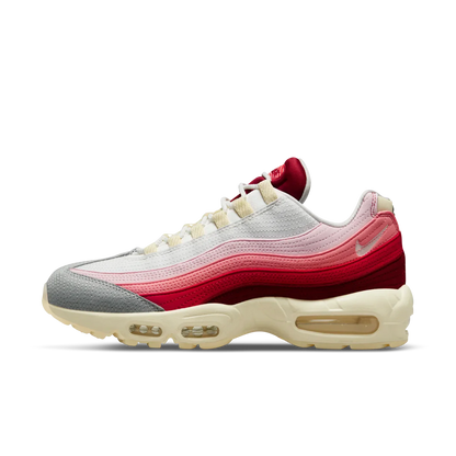 Air Max 95 Anatomy of Air