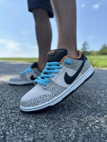 Nike Dunk Low Pro SB 'Electric Pack'
