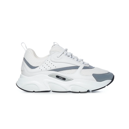 Dior B22 White-grey