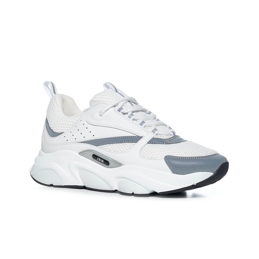 Dior B22 White-grey