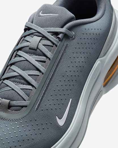 Nike Air Zoom Upturn SC grey