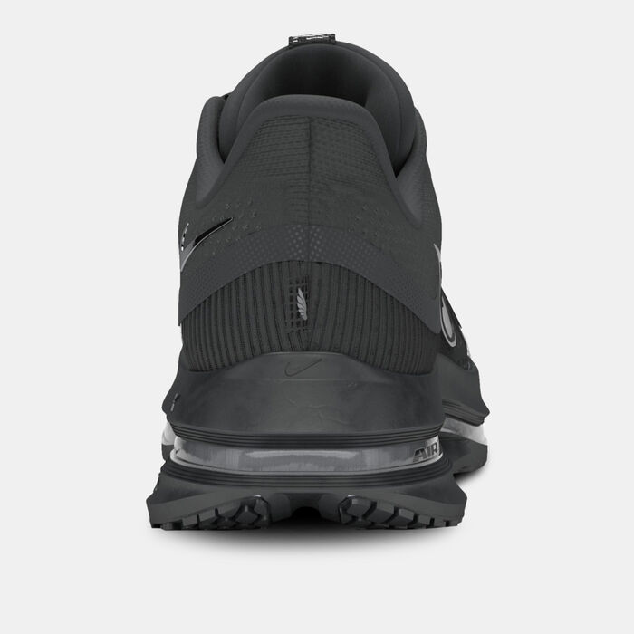 Men's Pegasus Premium Road Running